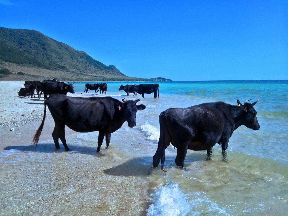 435 Hotell Ishigaki  Exteriör bild